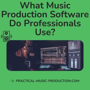 What Music Production Software Do Professionals Use and How It Shapes Their Creative Process?